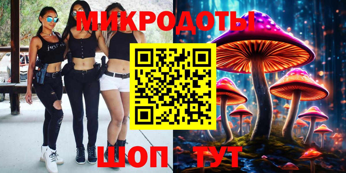 Псилоцибиновые грибы Psilocybine cubensis Кимры