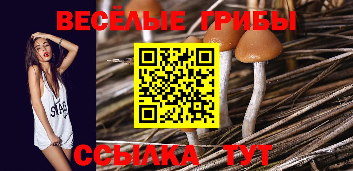 Кимры  Галлюциногенные грибы мухоморы  Вход с VPN 
